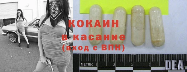 индика Навашино