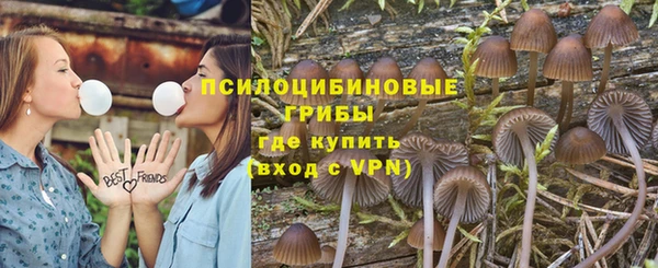 дживик Надым